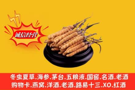 滁州定远县求购回收虫草多少钱每克